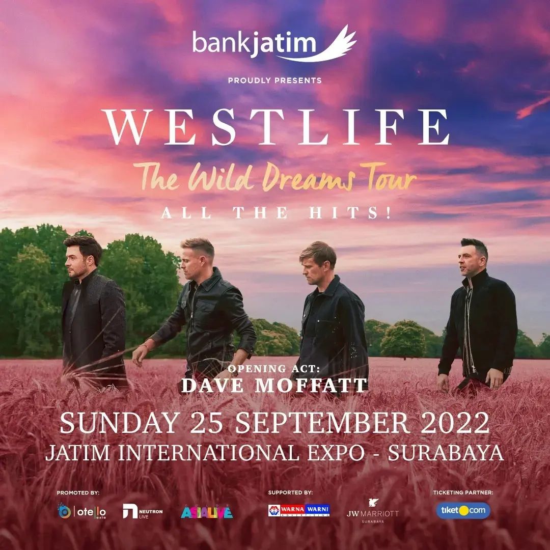 WESTLIFE THE WILD DREAMS TOUR - ALL THE HITS